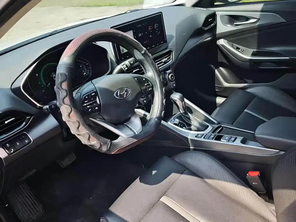 Hyundai Fista — миниатюра 6