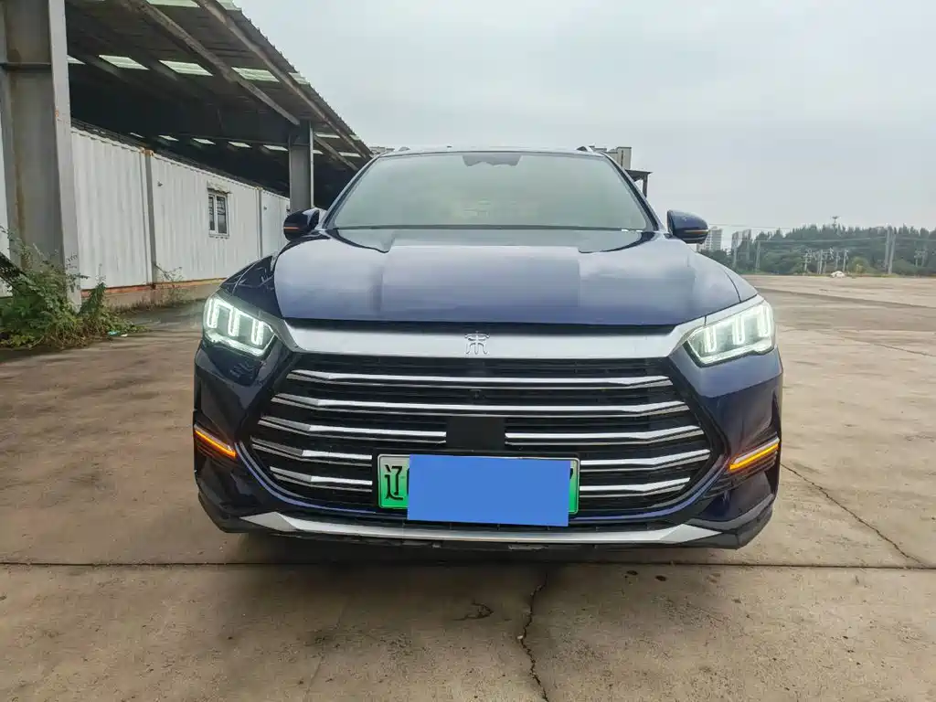 BYD Pro New Energy — миниатюра 2