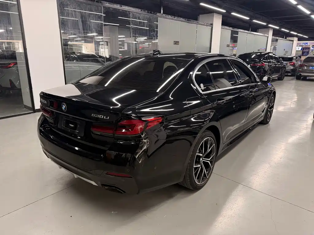 BMW 5 Series — миниатюра 4