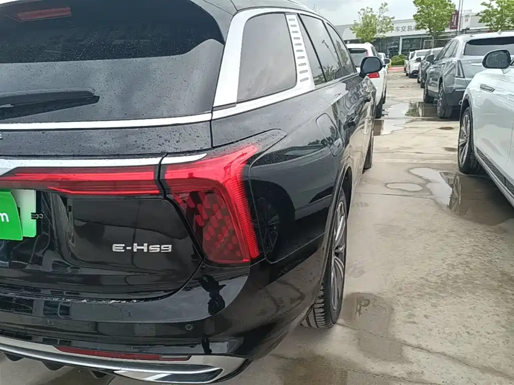 Hongqi E-HS9 2021 460km мест