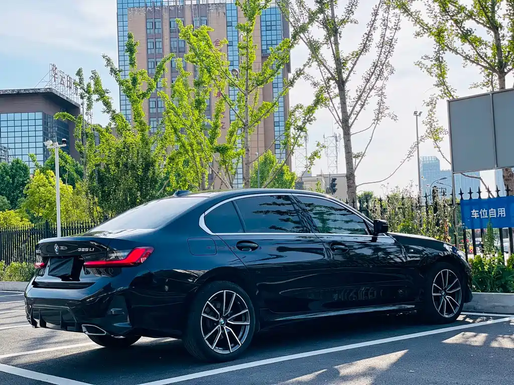 BMW 3 Series — миниатюра 10