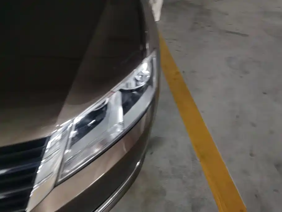 Volkswagen Gran Lavida — миниатюра 5