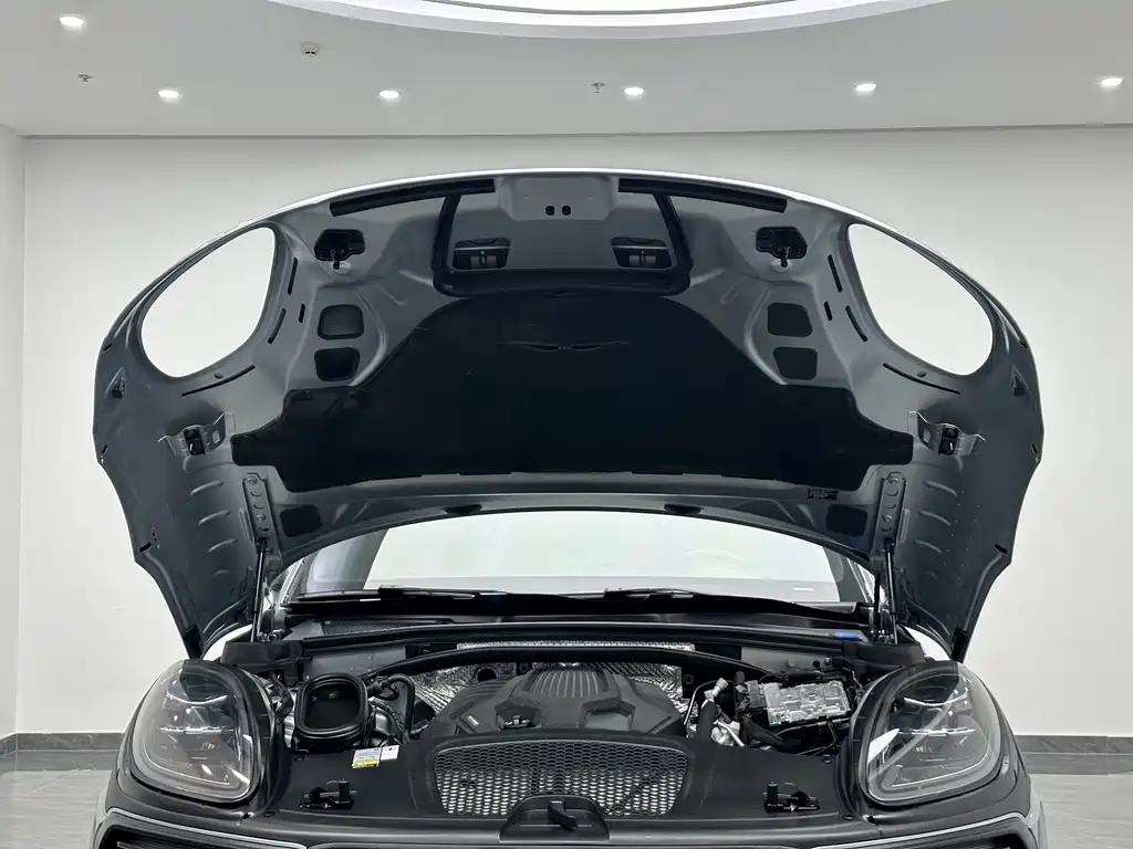 Porsche Macan — миниатюра 19