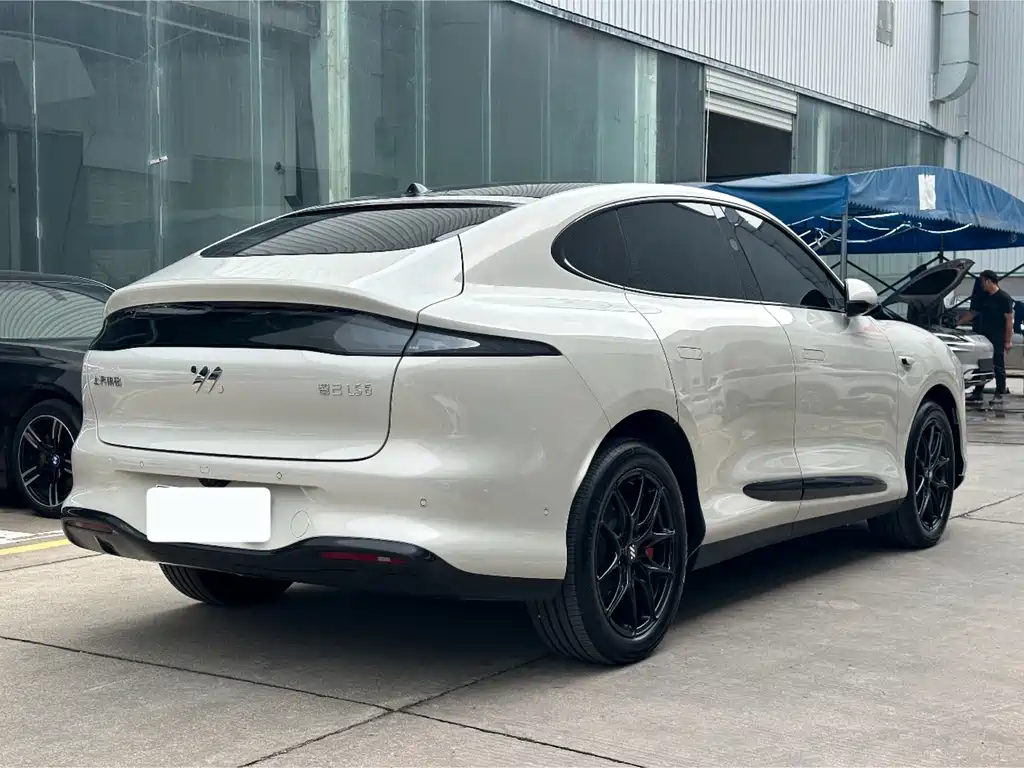 IM IM LS6 — миниатюра 9