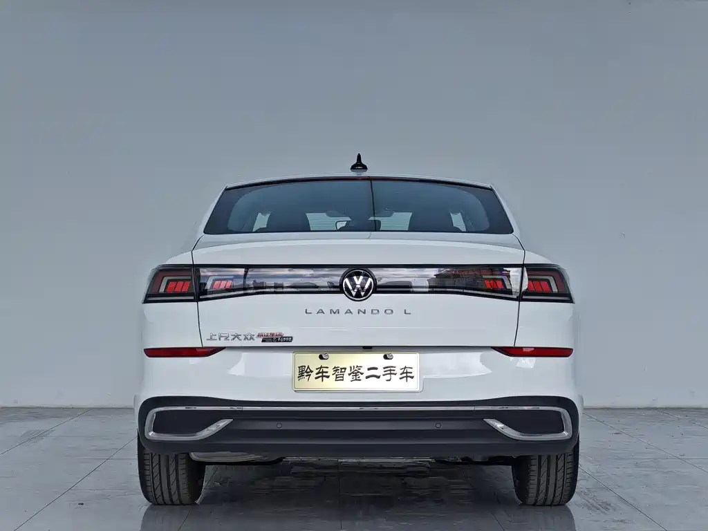 Volkswagen Lamando — миниатюра 5