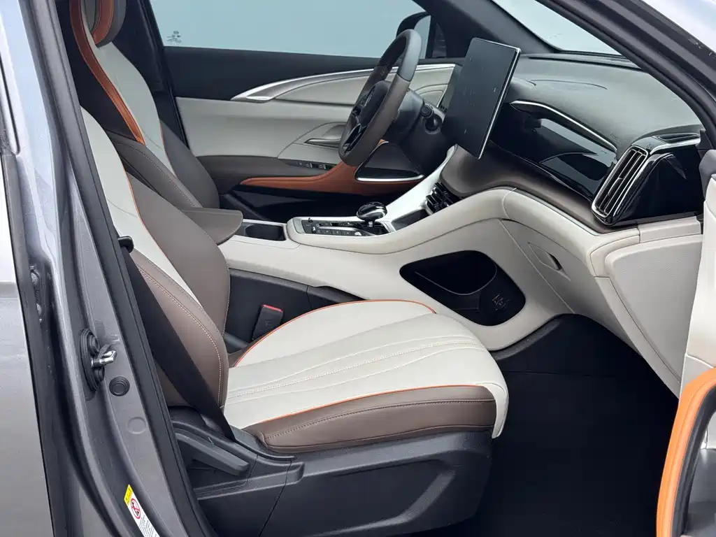 BYD Pro New Energy — миниатюра 14