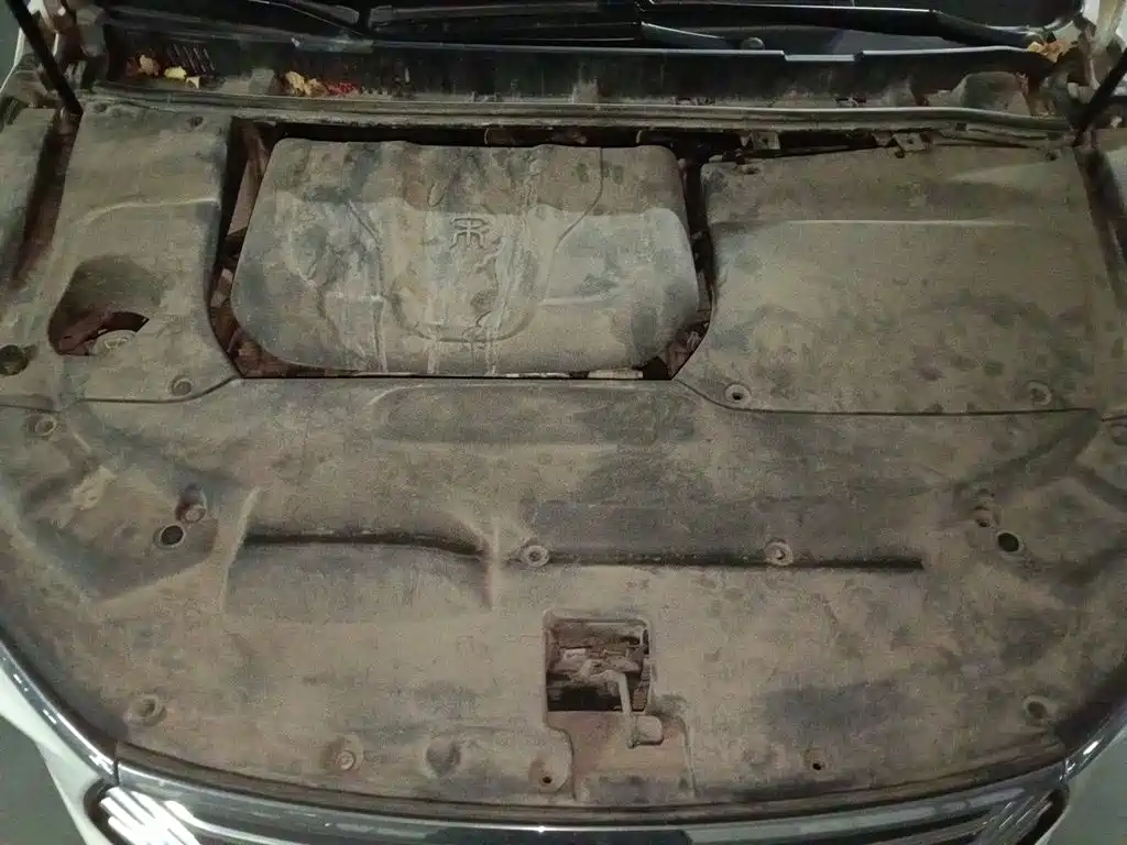 BYD MAX — миниатюра 16