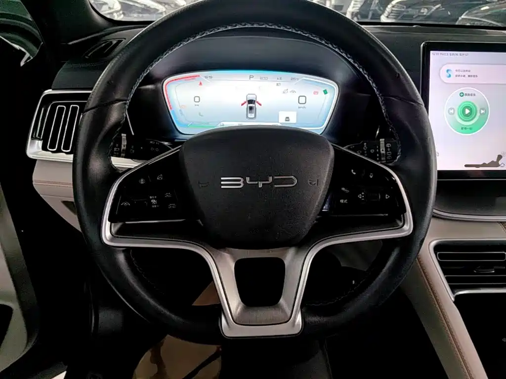 BYD PLUS New Energy — миниатюра 11
