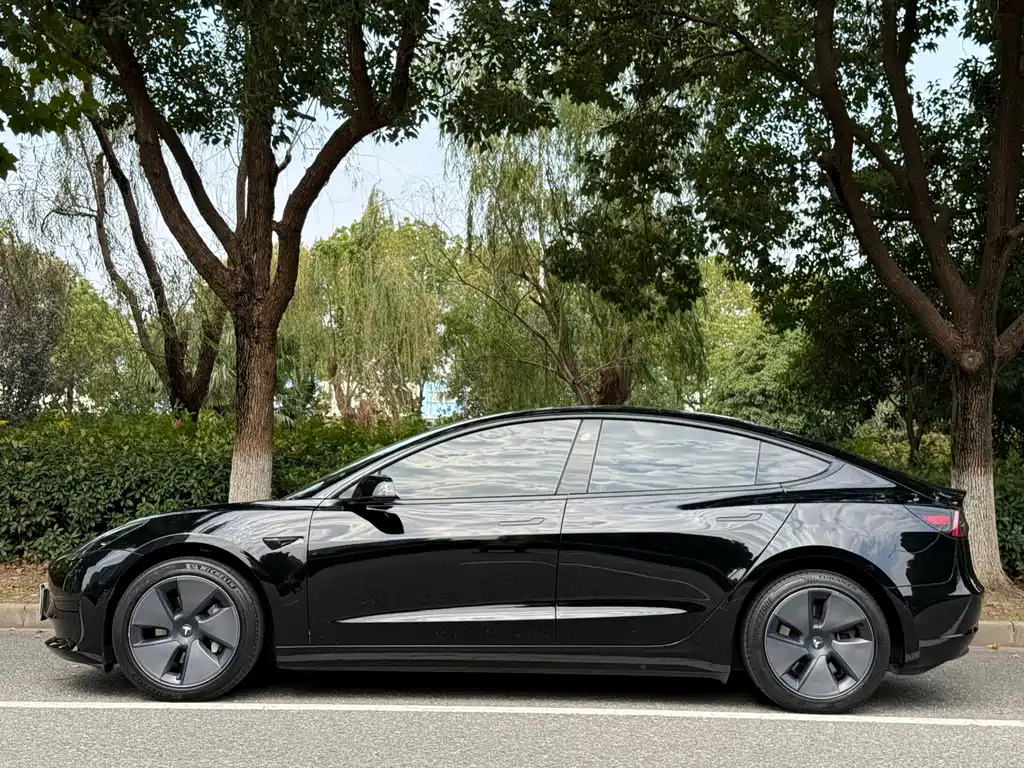 Tesla Model 3 — миниатюра 2