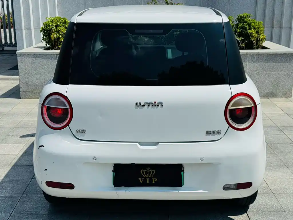 Qiyuan Lumin — миниатюра 7