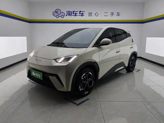 2025 BYD Seagull