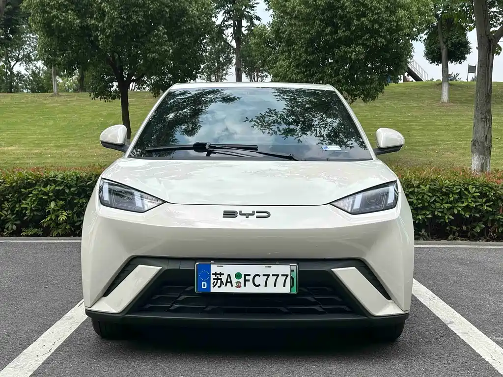 BYD Seagull