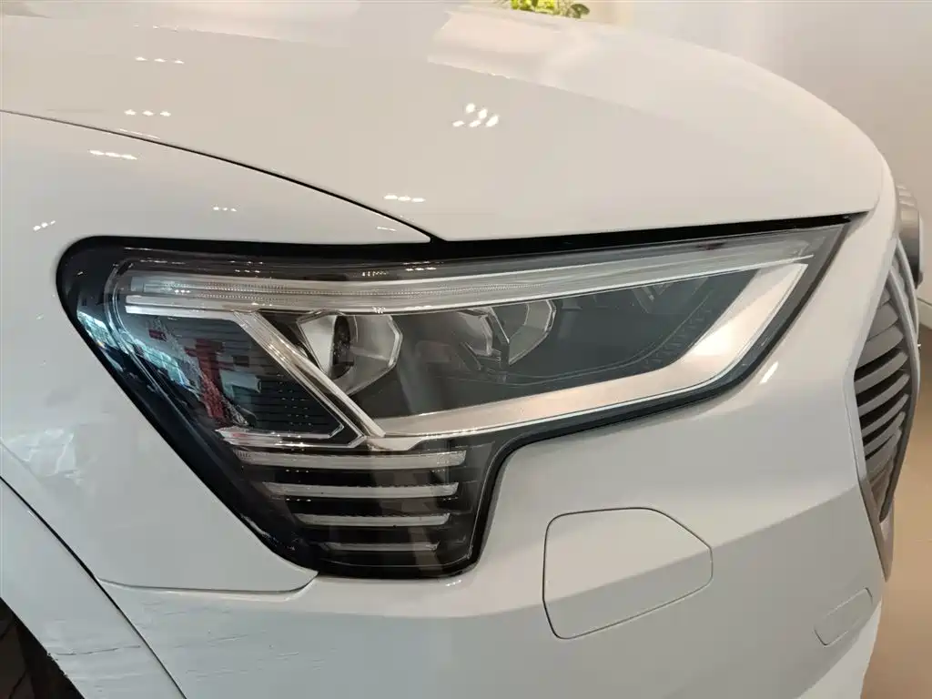 Audi e-tron (Import) — миниатюра 10