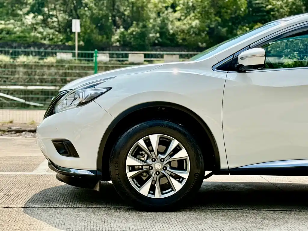 Nissan Murano 2019 2.5L XL Luxury VI