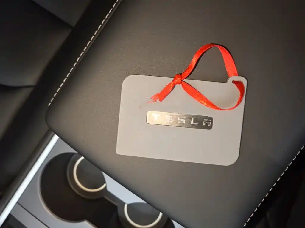 Tesla Model Y — миниатюра 9