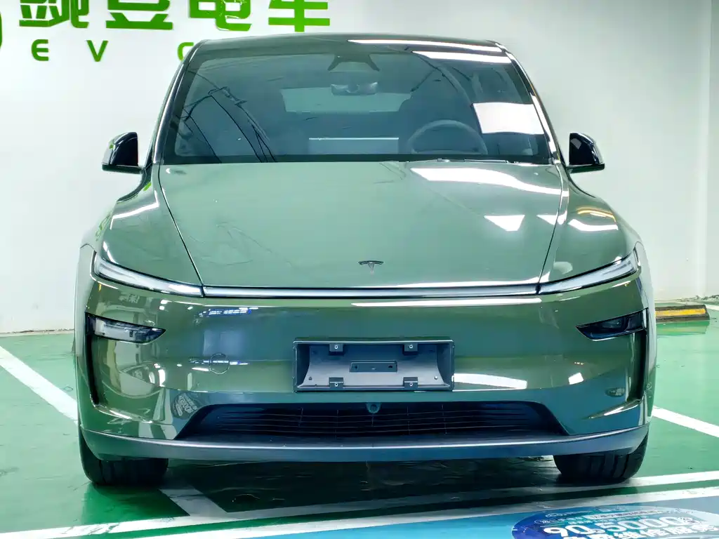 Tesla Model Y — миниатюра 4