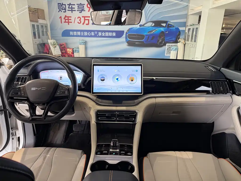 BYD PLUS New Energy — миниатюра 6