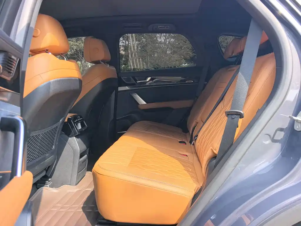 BYD Tang New Energy — миниатюра 10