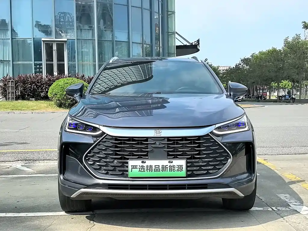 BYD Tang New Energy — миниатюра 2