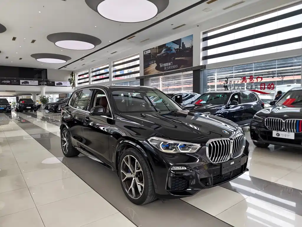 BMW X5 (Import) — миниатюра 3