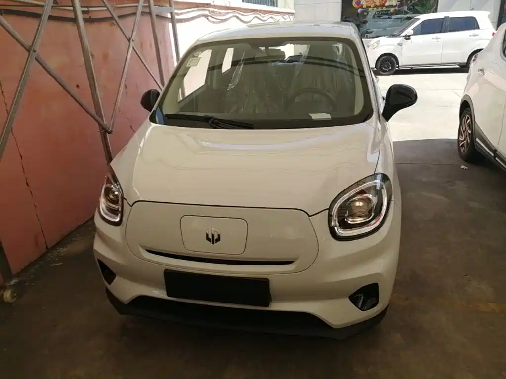 Leapmotor T03 2025 310