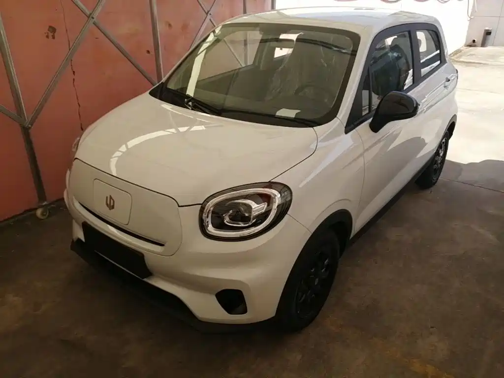 Leapmotor T03 2025 310