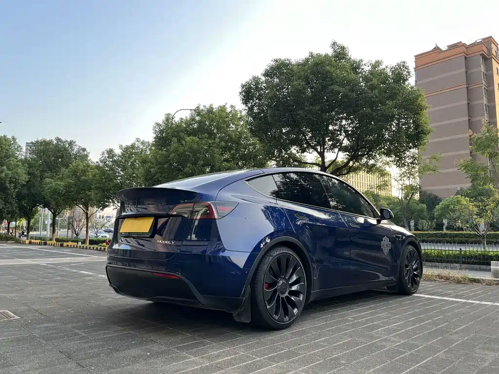 Tesla Model Y — миниатюра 15