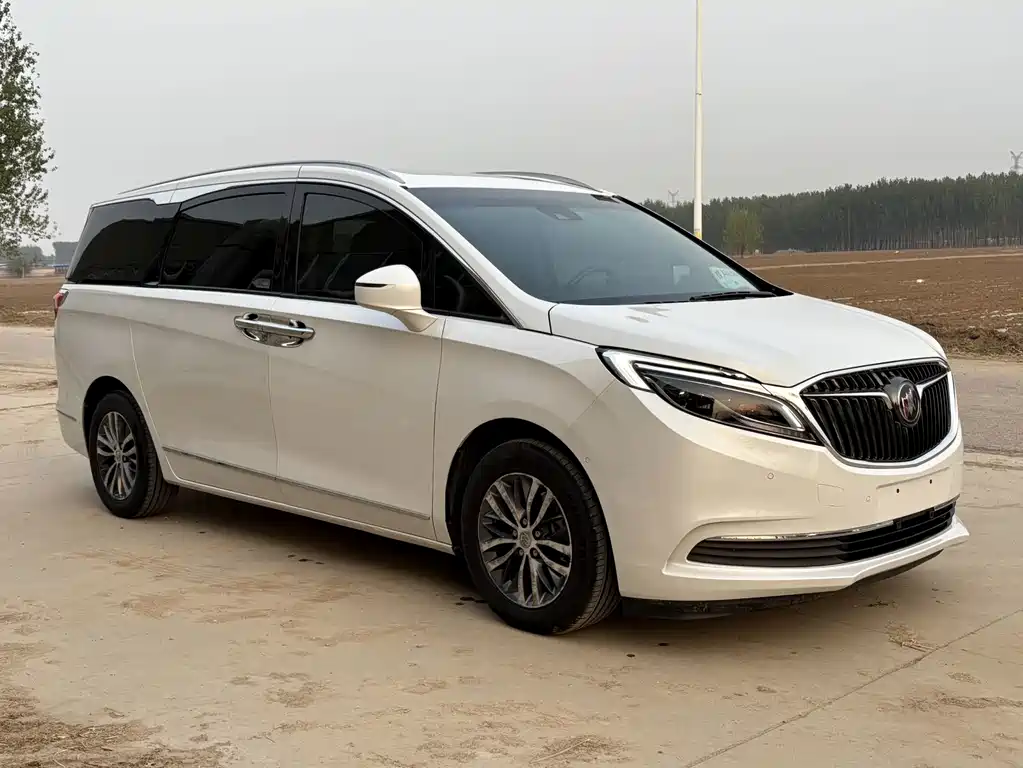 Buick GL8 — миниатюра 3