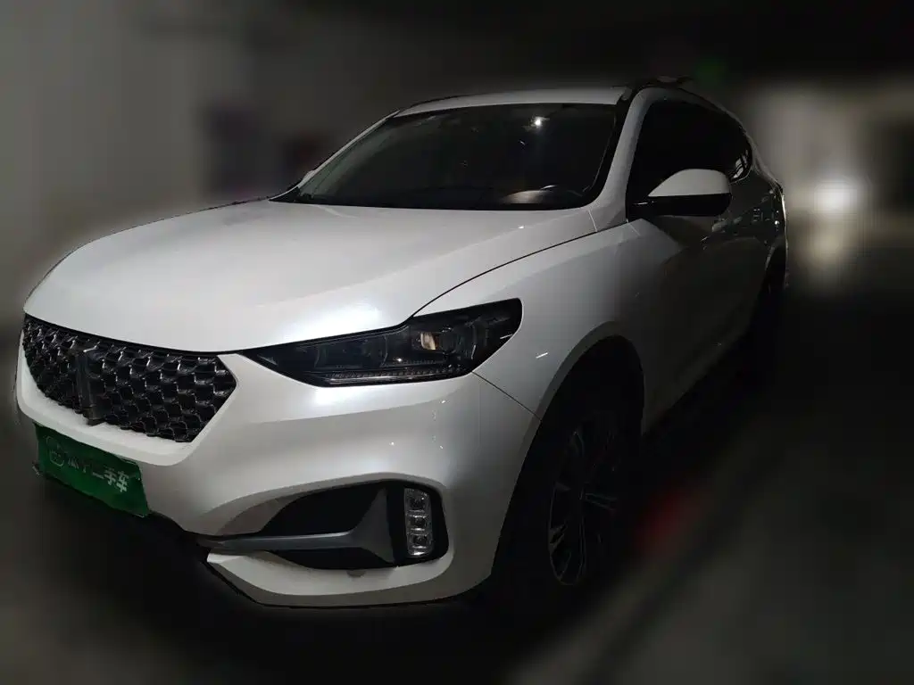 Wey Wey VV6