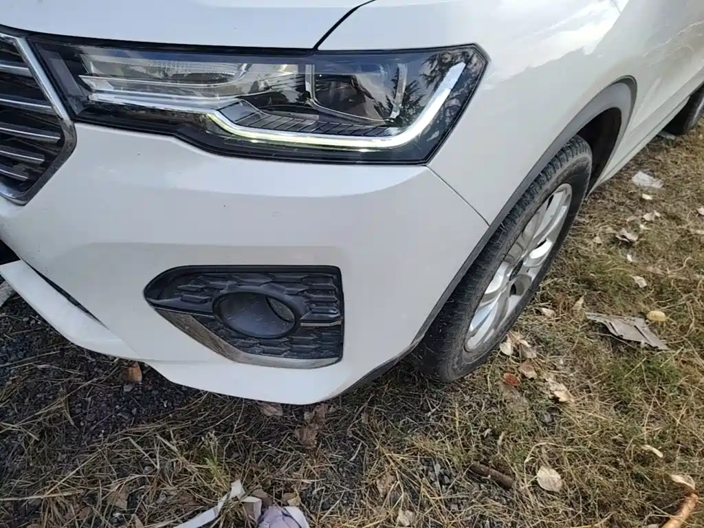 Haval H4 — миниатюра 24