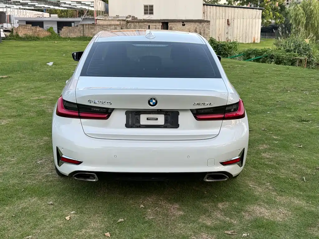 BMW 3 Series 3 2020 325Li