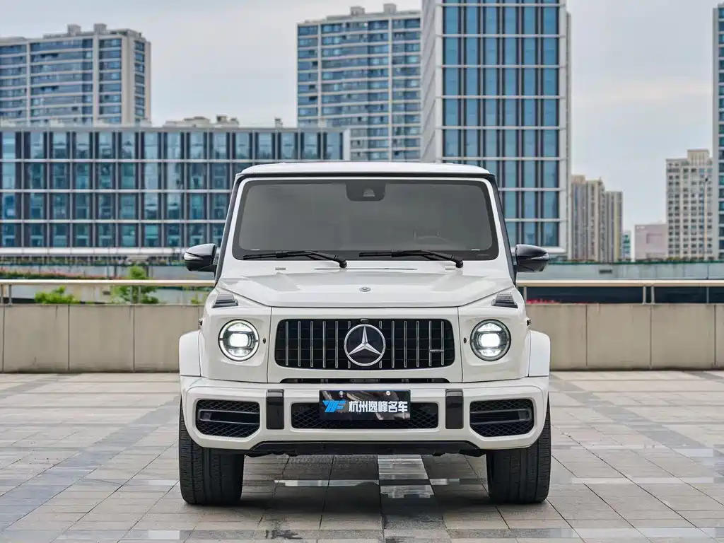 Mercedes-Benz G-Class G 2019 G 500