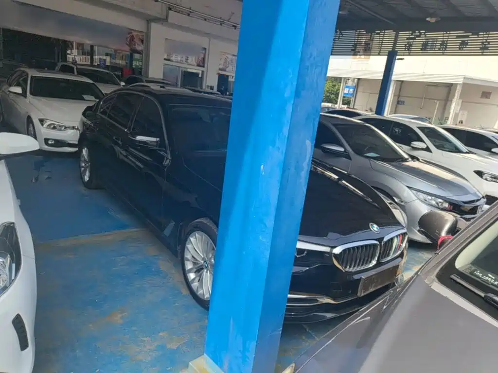 BMW 5 Series 5 2019 530Li Lead Luxury