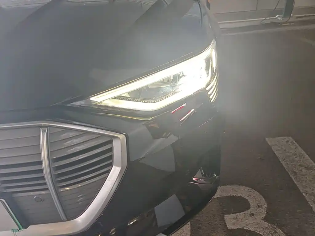 Audi e-tron (Import) — миниатюра 24