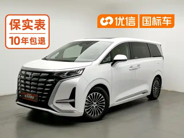 Denza D9