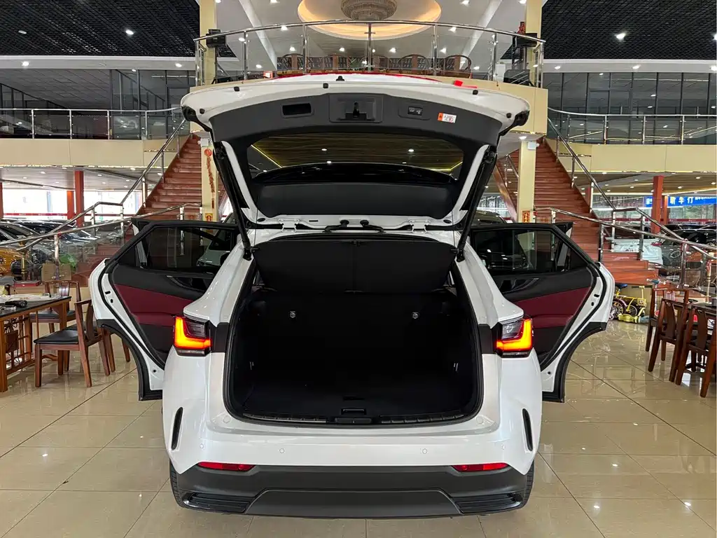 Lexus NX — миниатюра 7