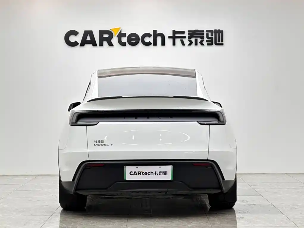 Tesla Model Y — миниатюра 4