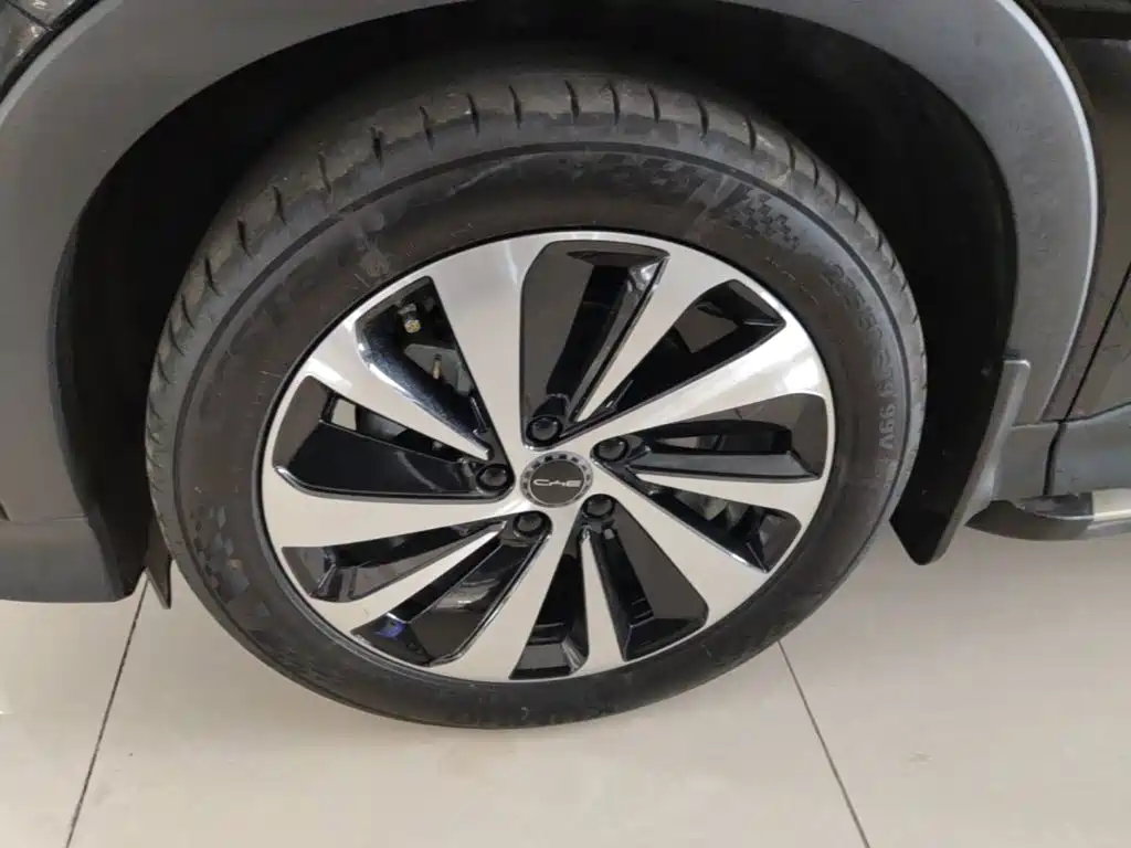 BYD PLUS New Energy — миниатюра 23