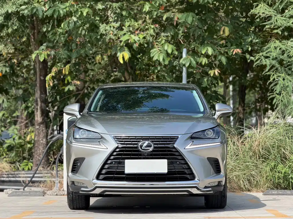 Lexus NX — миниатюра 2