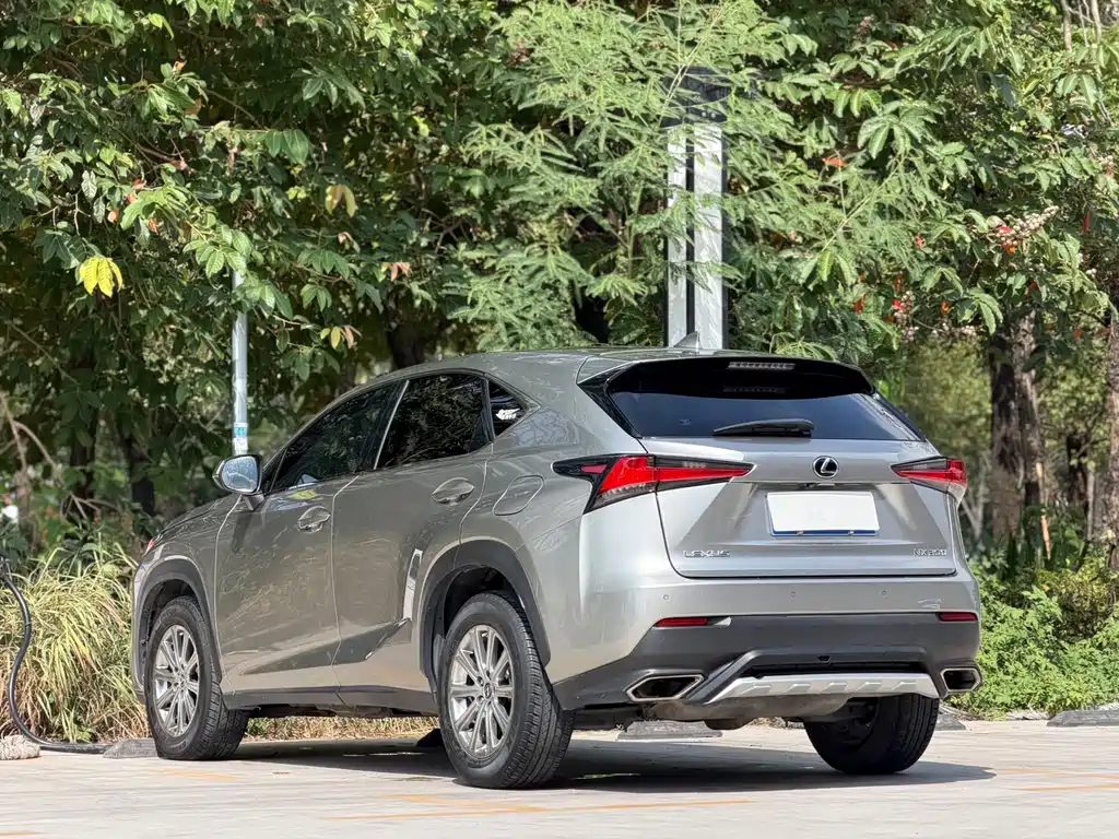 Lexus NX — миниатюра 6