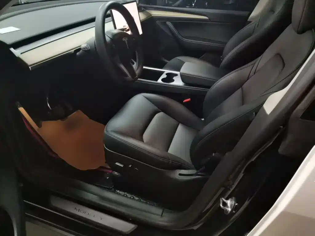 Tesla Model Y — миниатюра 15