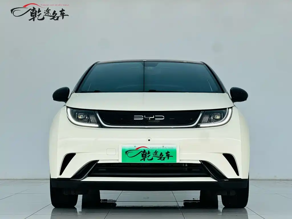 BYD Dolphin — миниатюра 2