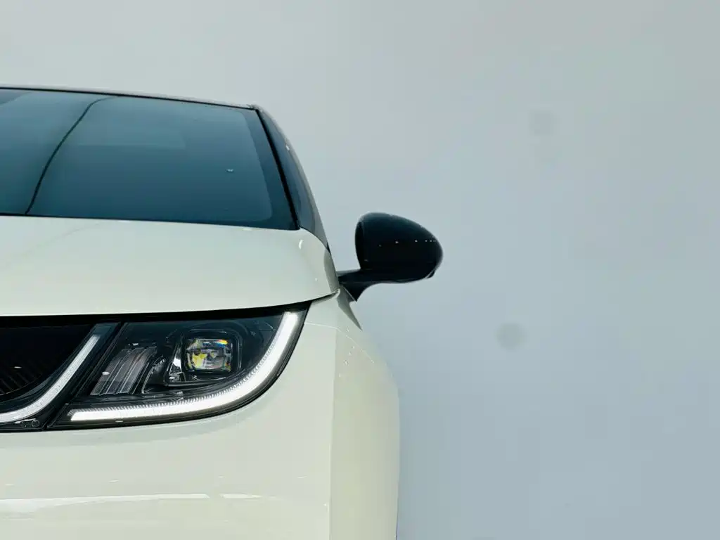 BYD Dolphin — миниатюра 10