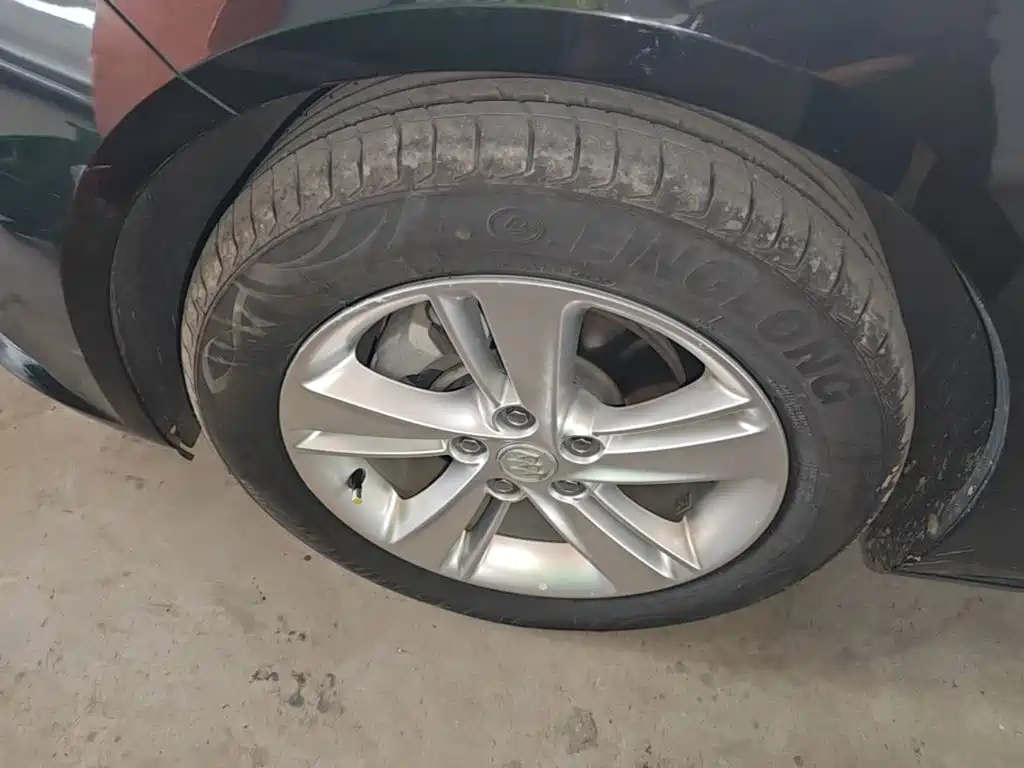 Buick Regal — миниатюра 23