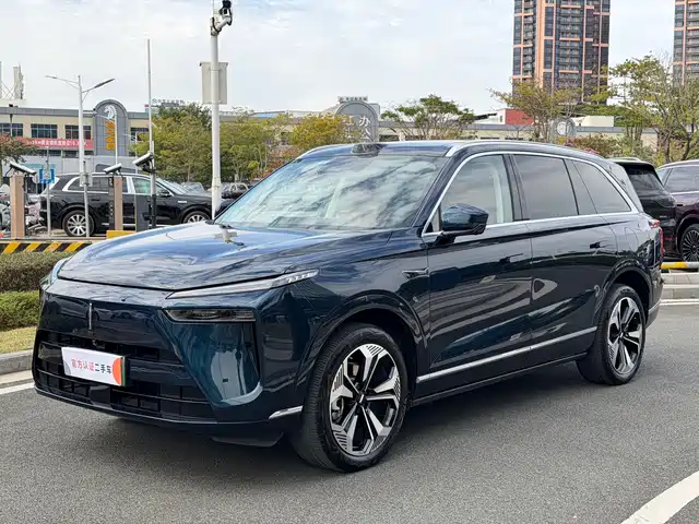 WEI PAI WEI BRAND BLUE MOUNTAIN 2024