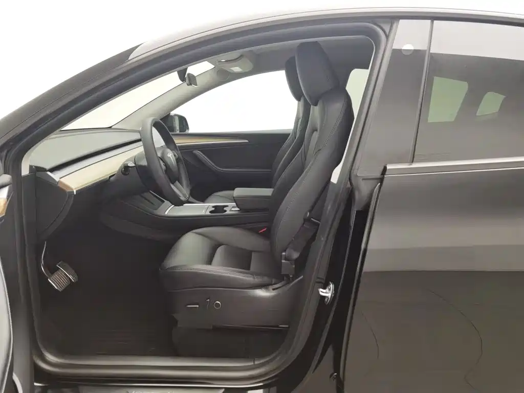 Tesla Model Y — миниатюра 10