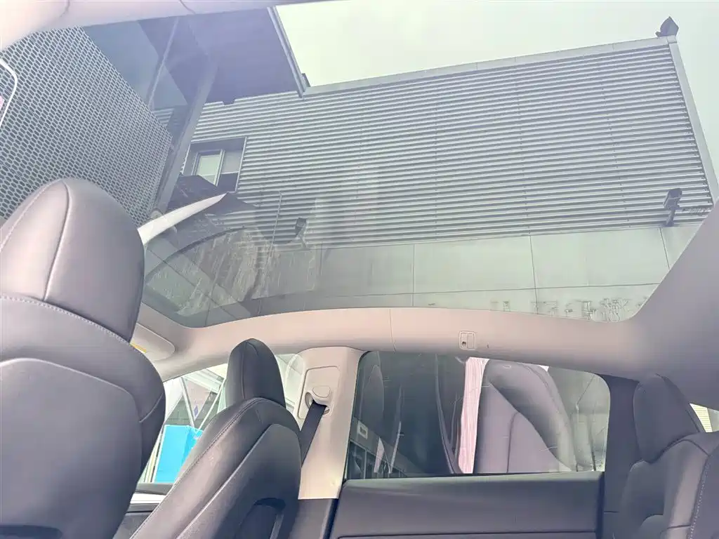 Tesla Model Y — миниатюра 14