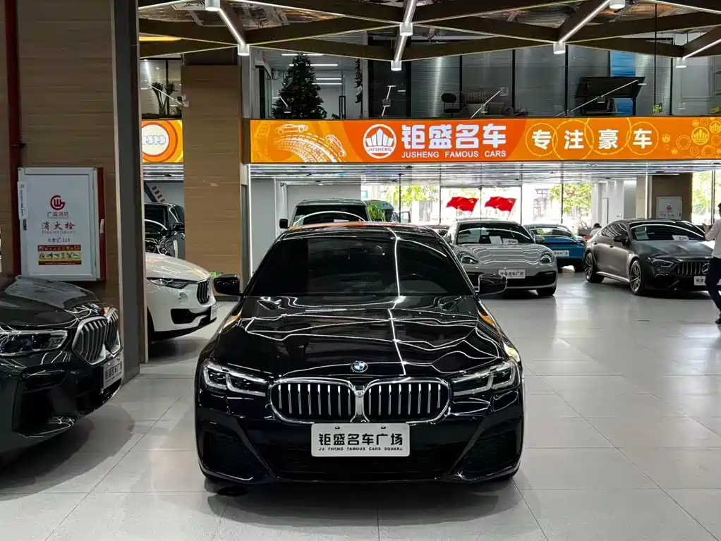BMW 5 Series — миниатюра 15