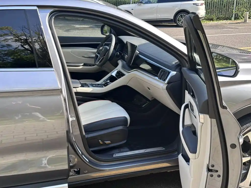 BYD PLUS New Energy — миниатюра 18