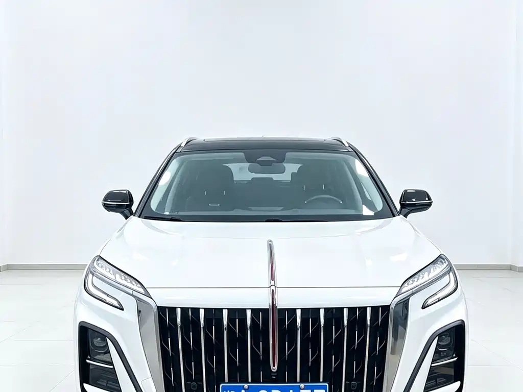 Hongqi Hongqi HS3 — миниатюра 6